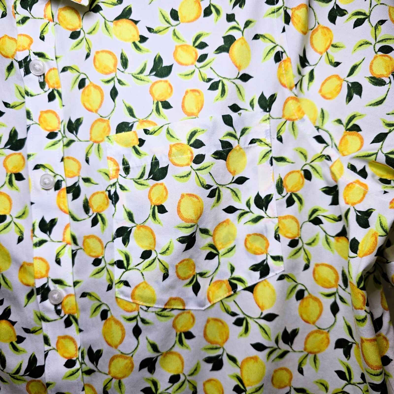 Lands’ End Women’s Wrinkle-Free No-Iron Shirt – Size S, White Lemons Print