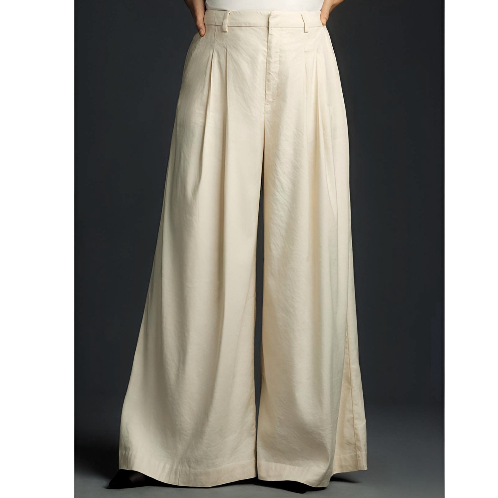 Maeve Anthropologie Avery Cream Wide-Leg Pleated Pants Women’s Size S